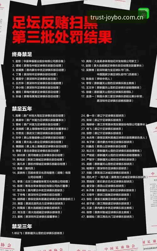 掌握中国足协最新禁足名单的深度解读与实用观赛指南